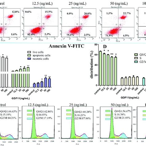 Effects Of GDF11 On Apoptosis And Cell Cycle Of PC12 Cells A GDF11