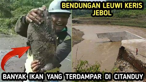 BENDUNGAN LEUWIKERIS JEBOL BANYAK IKAN TERDAMPAR DI CITANDUY YouTube