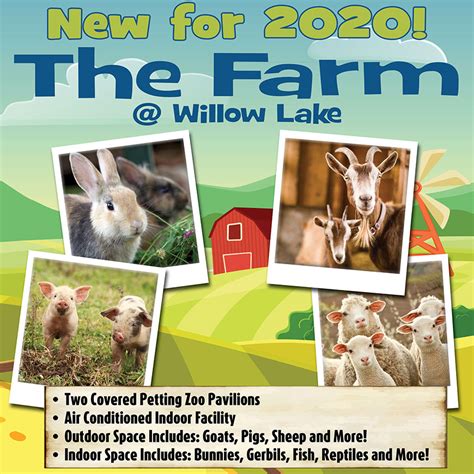 What's New for 2022 - Willow Lake Day Camp