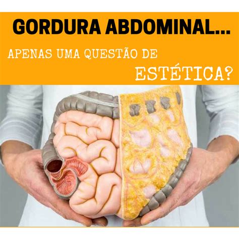 Gordura Abdominal Apenas Uma Quest O De Est Tica