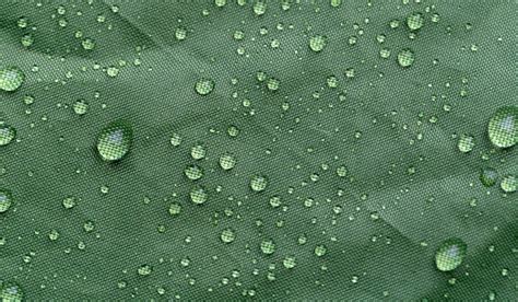 Free Images Green Drop Moisture Water Dew Leaf Rain Plant