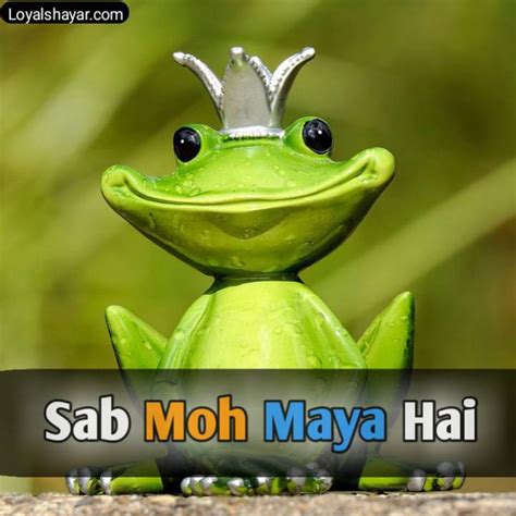 30 Sab Moh Maya Hai DP Shayari Image Status Quotes Loyal Shayar