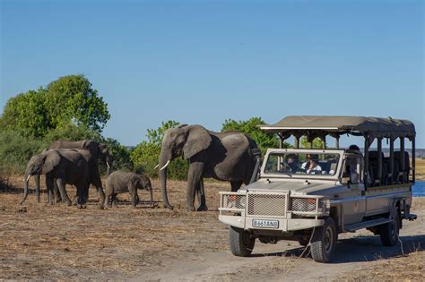 Best of Botswana Tour (7 Days/ 6 Nights) - Safari Ventures