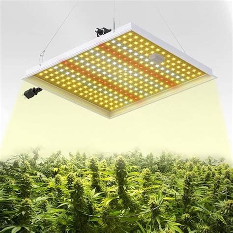 LED Poussez la lumière pour Les Plantes intérieures Plante de la