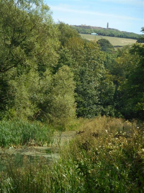 Crich Stand Taken From Gregory Dam On Cromford Canal 06 08 Flickr