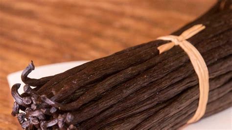 Demonstration Cooking: Vanilla | Chicago Botanic Garden