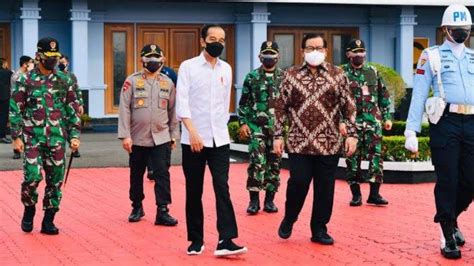 Presiden Jokowi Tinjau Vaksinasi Dan Kunjungi Pabrik Pengolahan Porang