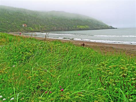 Gooseberry Cove In Southeast Peninsula Newfoundland Canada Photograph