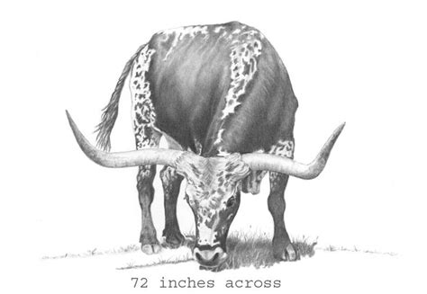 longhorn cattle drawing sketch | Farm animal paintings, Eagle painting ...