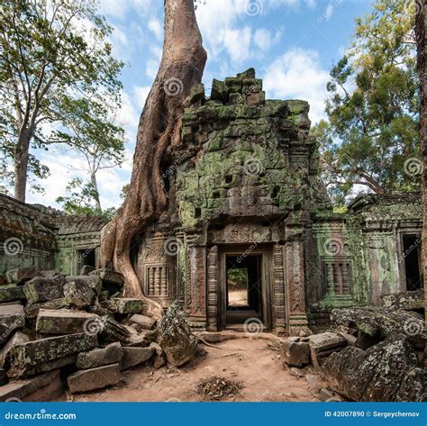 Angkor Wat Cambodia Ta Prohm Khmer Ancient Buddhist Temple Stock Photo