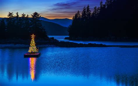 Free Download Hd Wallpaper Christmas Raft Tree Christmas Tree In