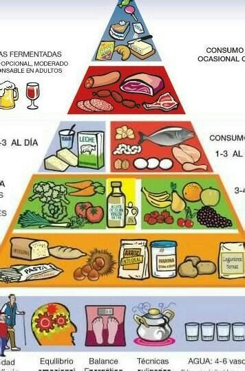 Se Alar En La Piramide Alimenticia Los Carbohidratos Lipidos O Grasas