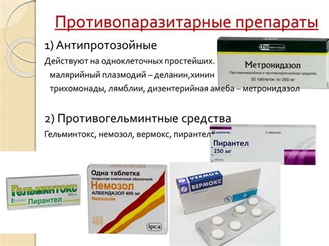 Химиотерапия и химиопрофилактика инфекционных болезней - презентация онлайн