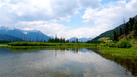 Banff National Park | 11 best free outdoor, plant, lake and fir photos ...