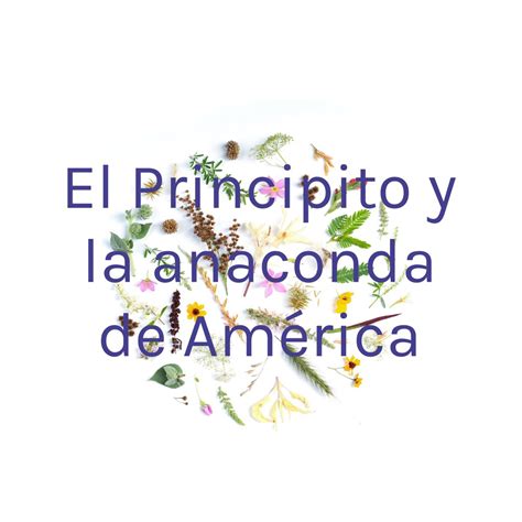 Podcast El Principito Y La Anaconda De Am Rica Apple Podcasts