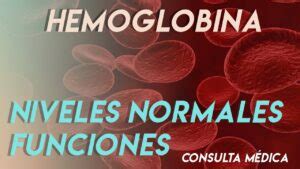 Valores Normales De Hemoglobina Todo Lo Que Necesitas Saber