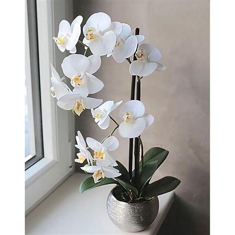 K Nstliche Orchidee Phalaenopsis Fach Getopft Cm Real Touch