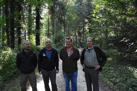 Klettgauer Bote Klimatolerante Baumarten Im Kanton Schaffhausen