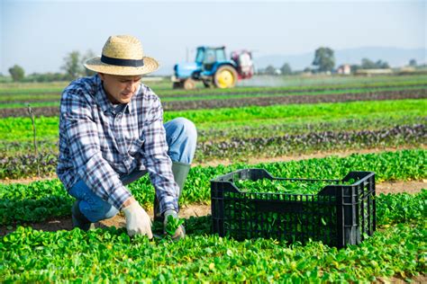 Gestione Operai Agricoli Assunzioni Ore Di Lavoro Report