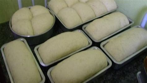 Pão Caseiro Fofinho massa sem sovar no Liquidificador tem ótimo