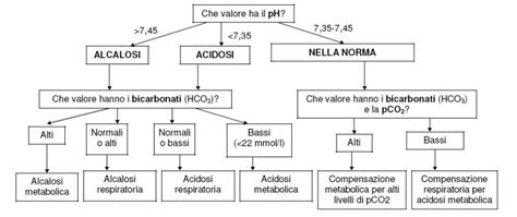 L Infermiere E L Emogasanalisi Interpretazione Dei Dati Nurse Times