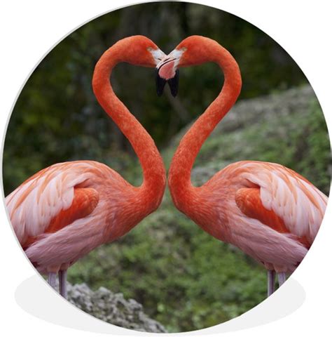 Twee Flamingo S Vormen Een Hart Kunststof Plaat Bol