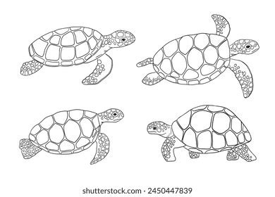 8,774 Sea Turtle Outline Stock Vectors and Vector Art | Shutterstock