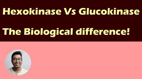 Hexokinase Vs Glucokinase Biological Difference And Diverse Role In