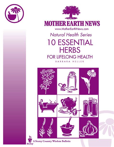 10 Essential Herbs For Lifelong Health E Handbook Mother Earth News