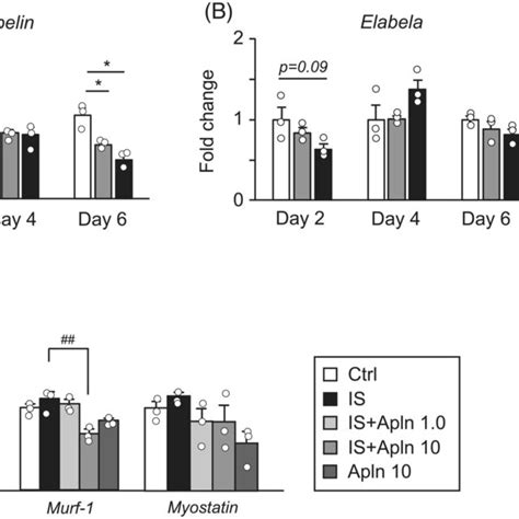 The Effect Of Indoxyl Sulfate Potassium IS On Apelin And Elabela