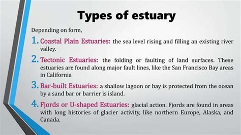 Estuarine Ecosystem Pptx Environmental Microbiology Ppt