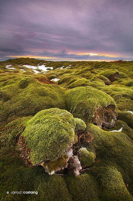 Iceland - Lava Fields | Landscape, Iceland travel, Iceland island