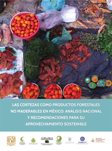 PDF LAS CORTEZAS COMO PRODUCTOS FORESTALES NO MADERABLES EN MÉXICO