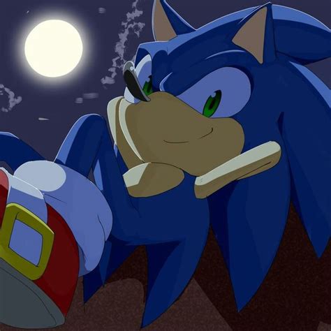 Pin By DAEl On SONIC THE HEDGEHOG Sonic The Hedgehog Sonic Sonic Heroes