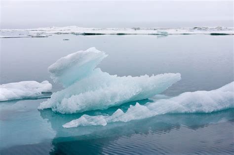 Arctic Ocean Could Be Ice Free In Summer By 2030s