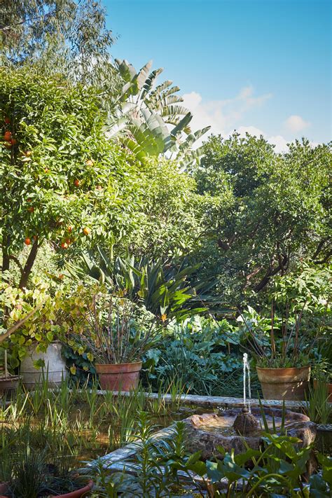 How novelist Umberto Pasti transformed his plot in Tangier | THE WORLD