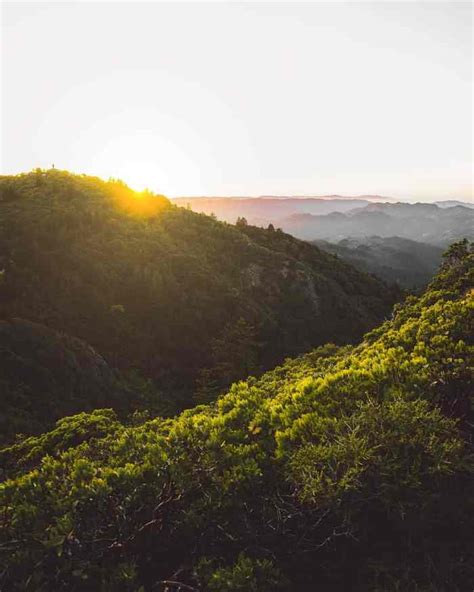 Everything You Need To Know About Hiking Mount Tamalpais - Follow Me Away