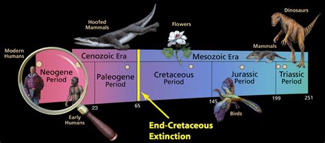 End-Cretaceous Extinction - Sam Noble Museum