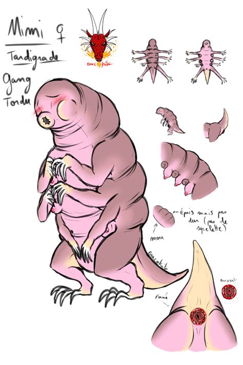 Mimi By DracoKaito Hentai Foundry