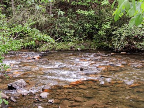 Camperedge Paint Creek Campground