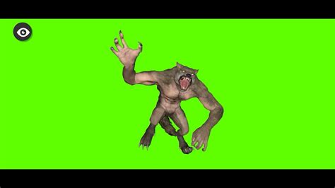 Wolf Green Screen Effect Hd Green Screen Youtube