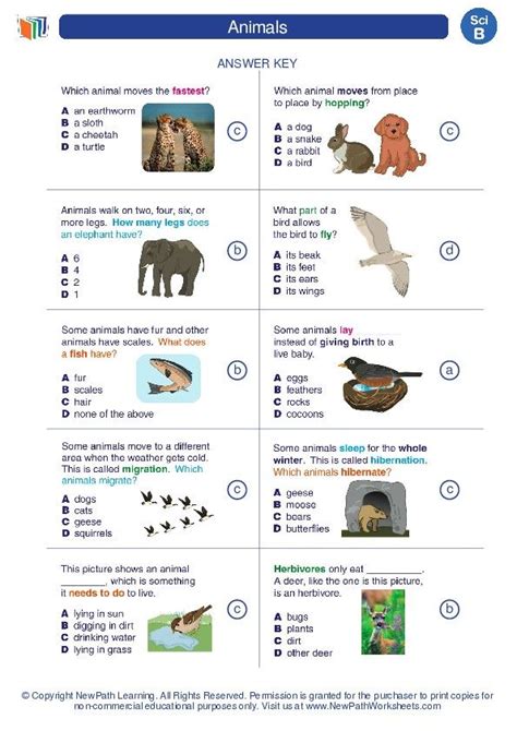 Animal Worksheets For 3rd Grade