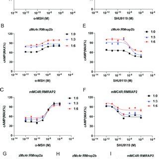 Pharmacological Modulation Of ZMc4r Signaling By RMrap2a B A C