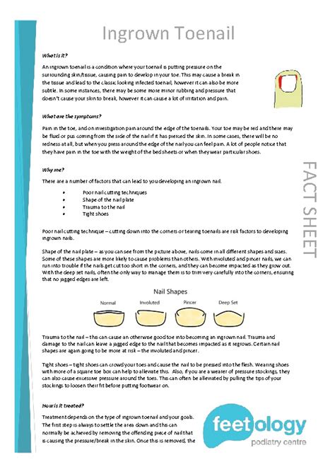 Ingrown Toenail Fact Sheet Feetology Podiatry Centre