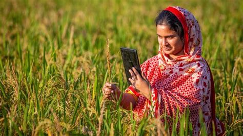 FAO working with govt to tap potential of digital agriculture ...