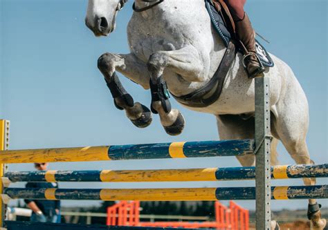 Horse Training Gets A New Face Lift From A 108 Year Old Horse Training ...