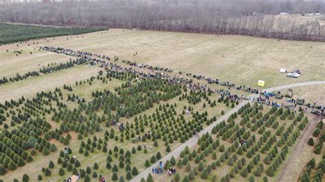 Dulls Tree Farm — Thechadcolby