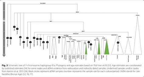 Eurogenes Blog Heavily Sex Biased Population Dispersals Into The