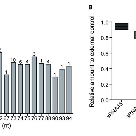 RNA Sequencing Results And Relative Expression Levels Of SRNAs In