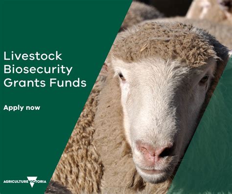 Agriculture Victoria On Twitter The Livestock Biosecurity Funds Grant